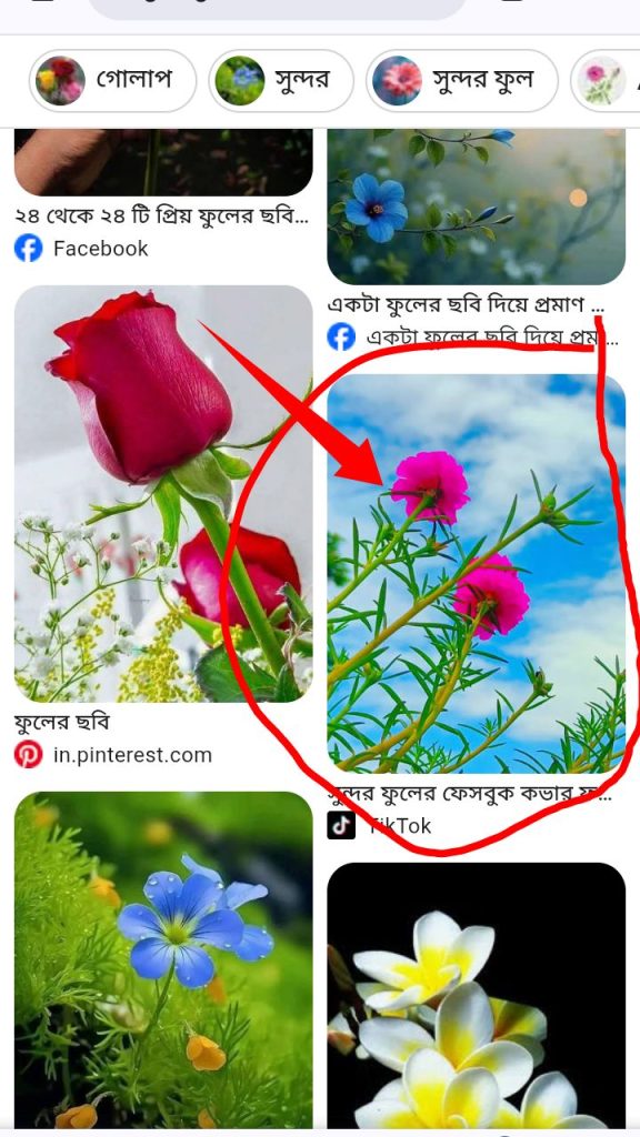 [ছবি - 4] গুগল থেকে ছবি ডাউনলোড করার নিয়ম March 14, 2026