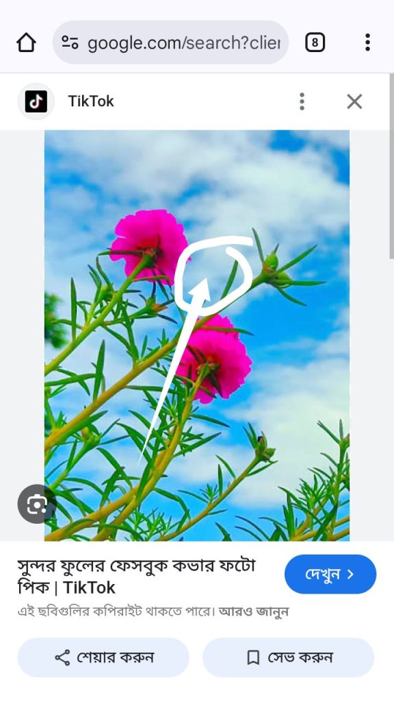 [ছবি - 5] গুগল থেকে ছবি ডাউনলোড করার নিয়ম March 14, 2026