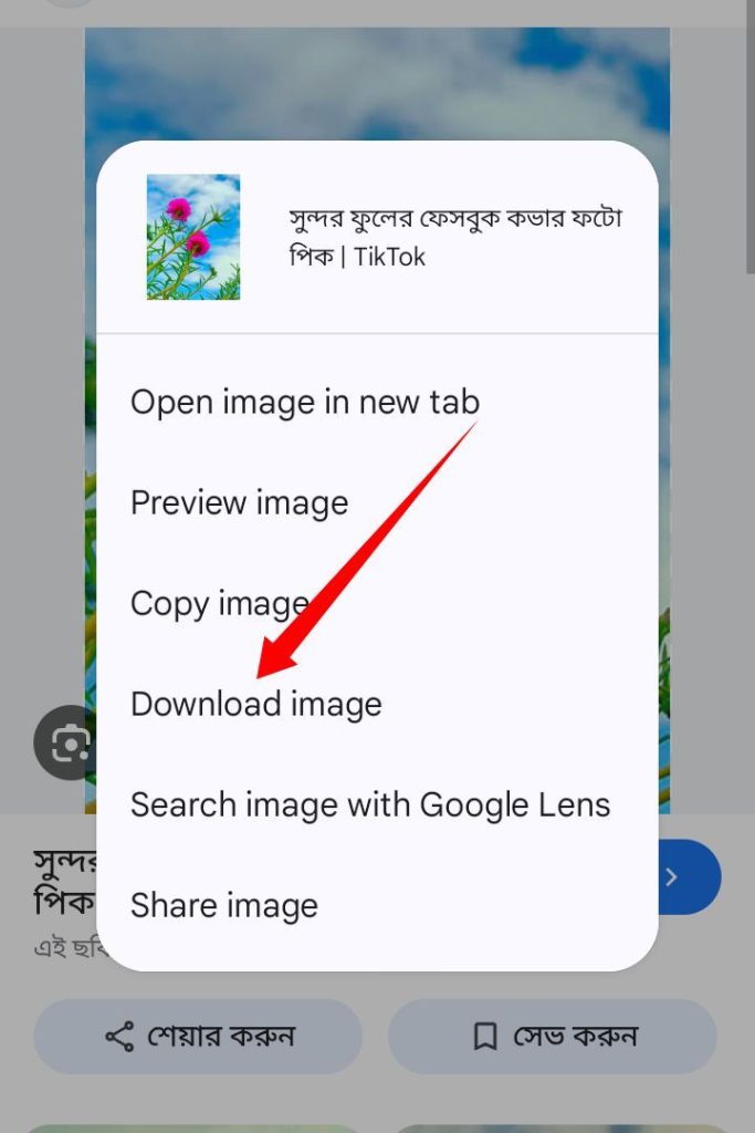 [ছবি - 6] গুগল থেকে ছবি ডাউনলোড করার নিয়ম March 14, 2026