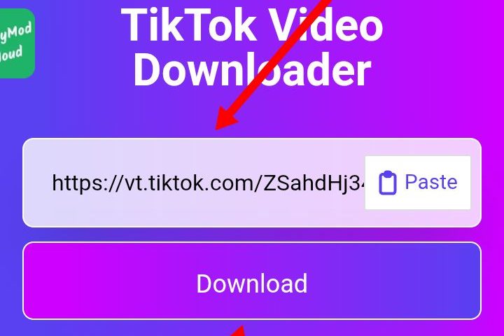 [ছবি - 2] মোবাইলে টিকটক ভিডিও ডাউনলোড করার উপায়। March 14, 2026